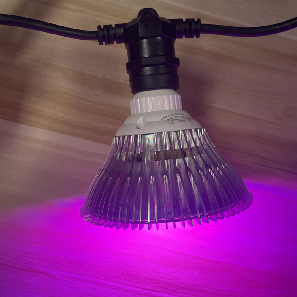 10M Kablo LED Dize Işık Zincir - Lighting Decoration Ideas incelemesi ve fiyatı